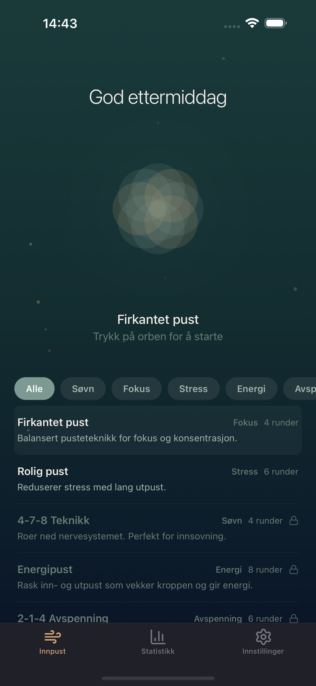 Innpust skjermbilde 2